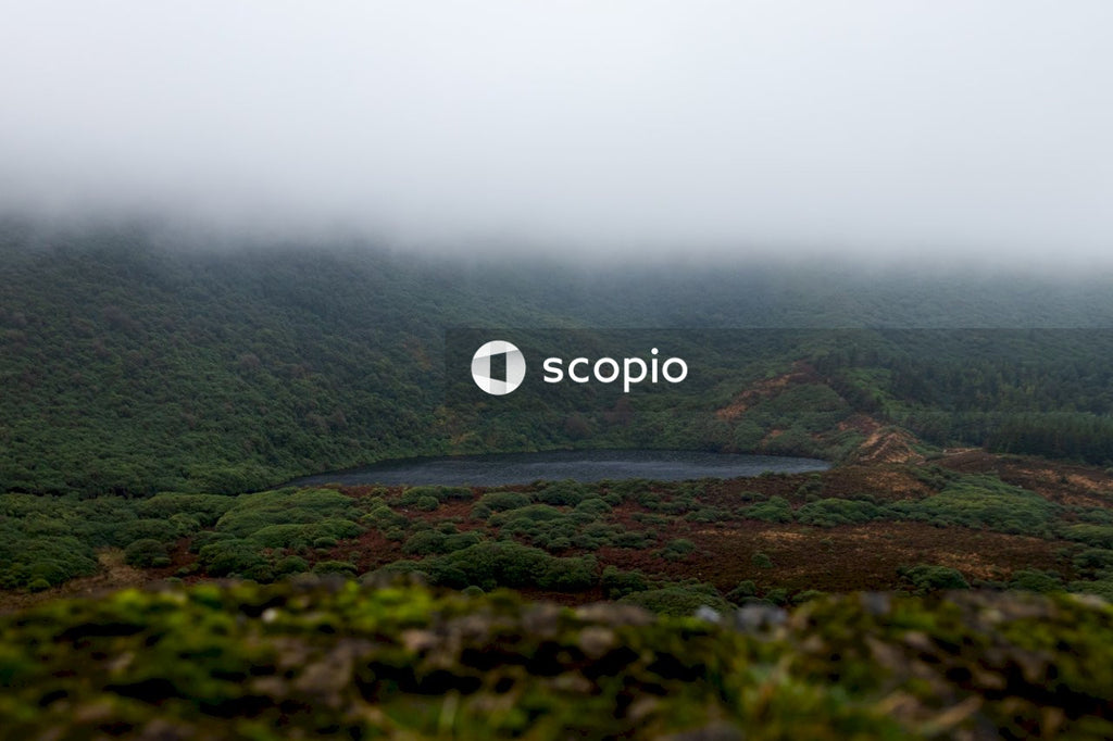 Green grass covered mountain during foggy day