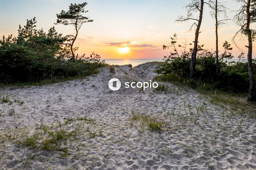 Green grass field near body of water during sunset