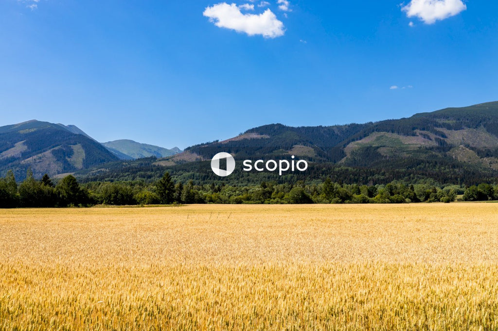 Green grass field near green mountains under blue sky