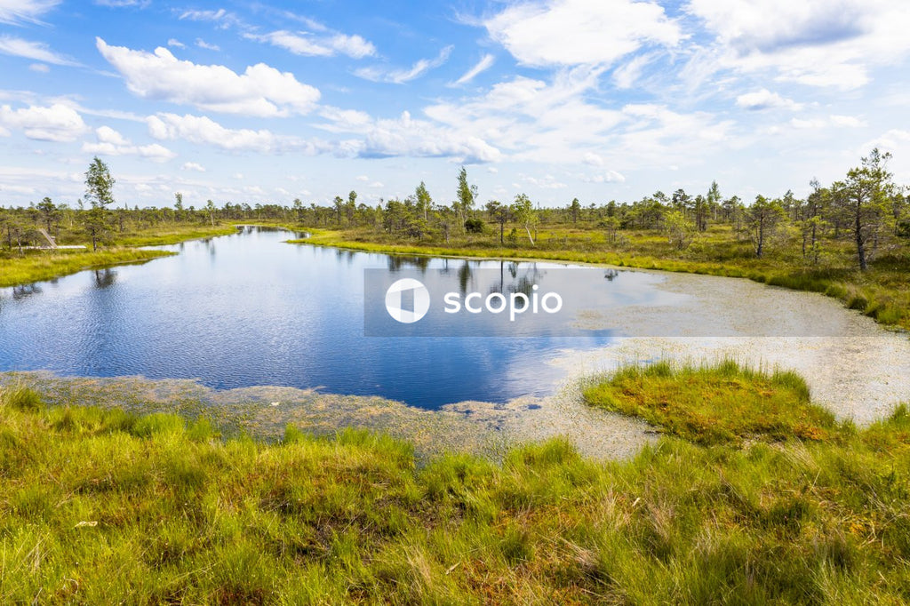 Green grass field near lake under blue sky