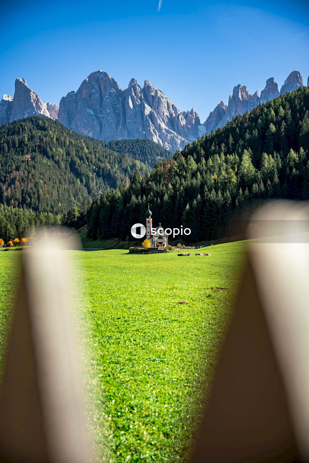 Green grass field near mountain