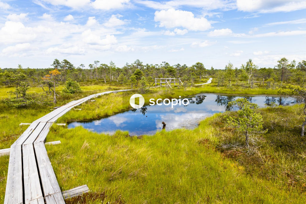 Green grass field near river under blue sky