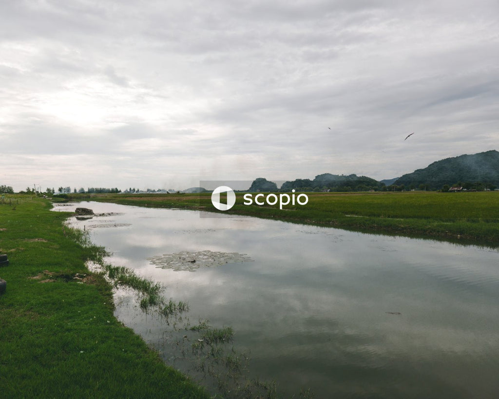 Green grass field near river under cloudy sky