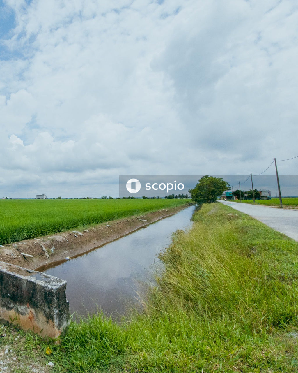 Green grass field near river under white clouds