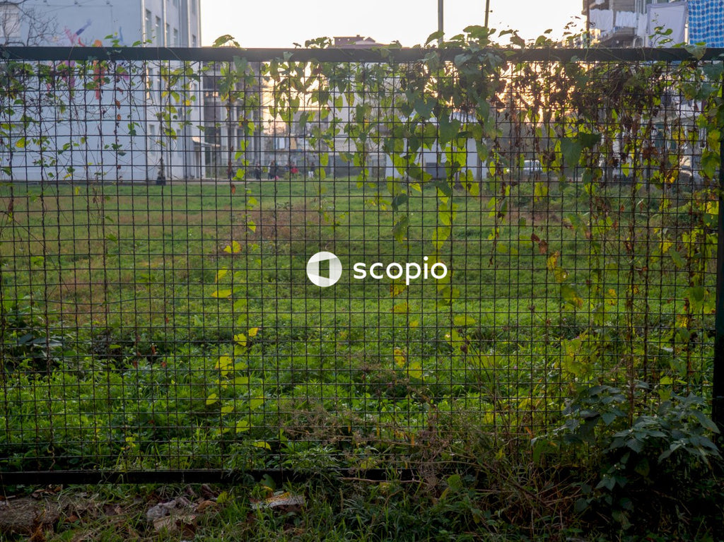 Green grass field near white concrete building