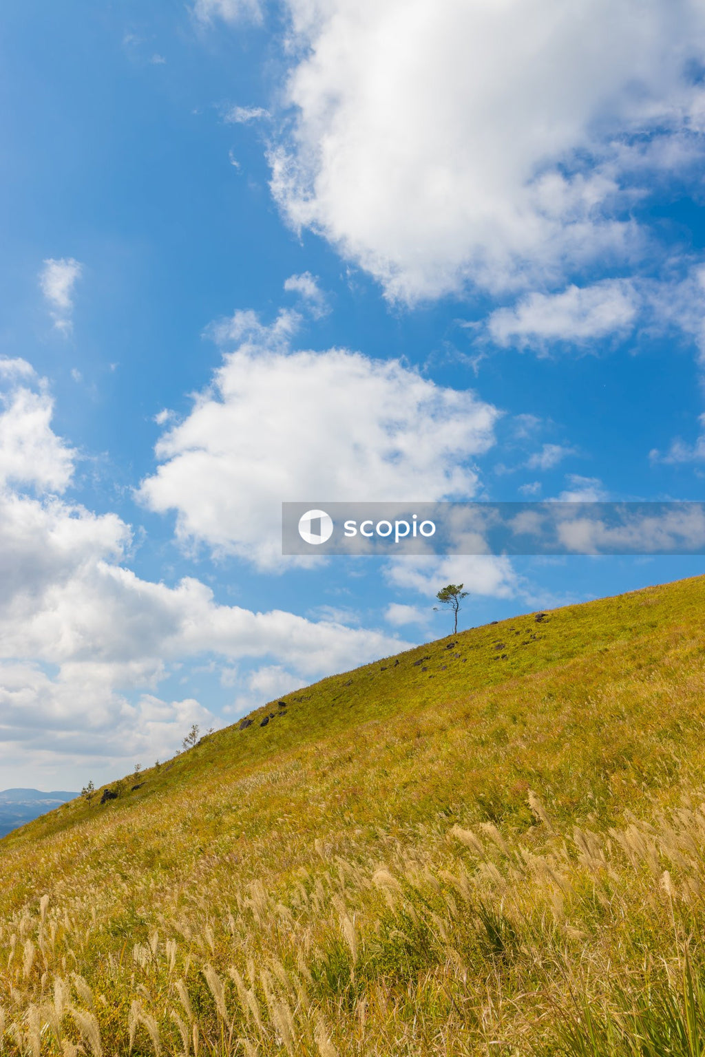 Green grass field under blue sky and white clouds
