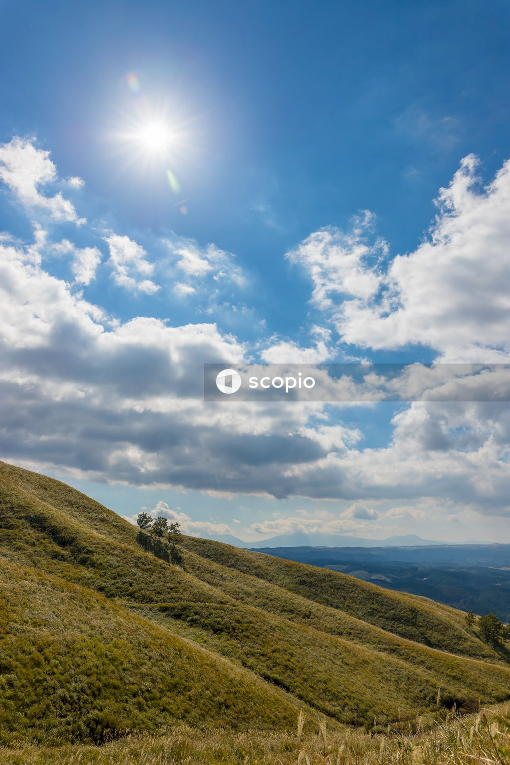 Green grass field under blue sky and white clouds