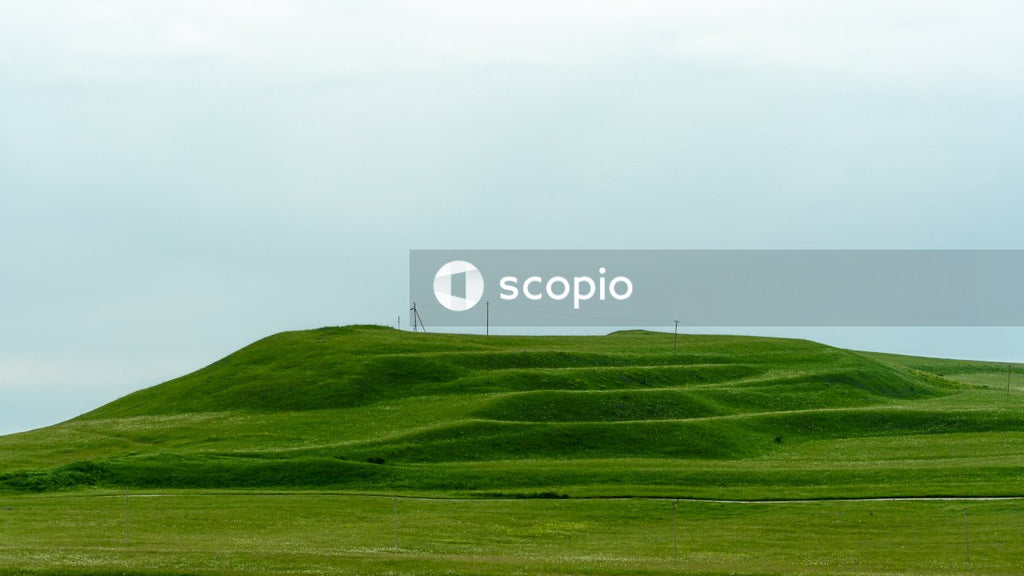 Green grass field under white sky