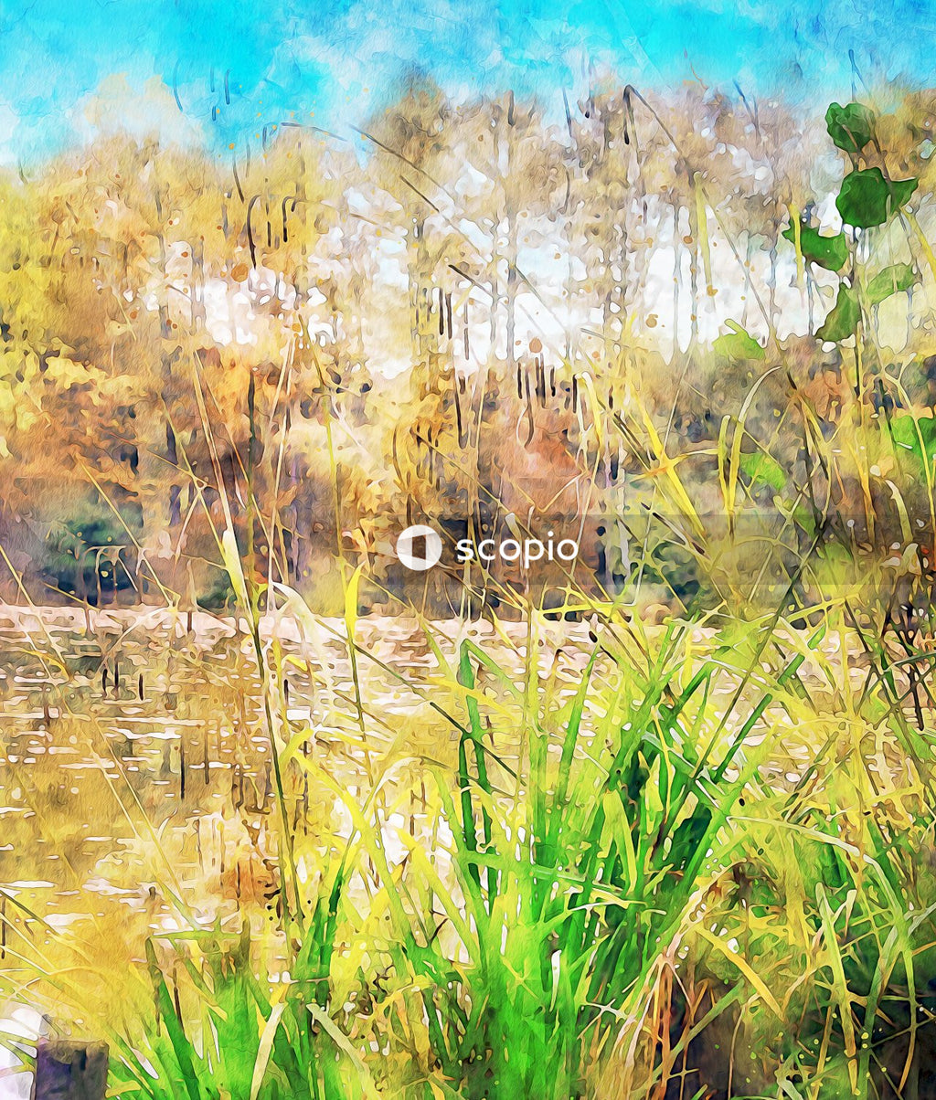 Green grass near body of water