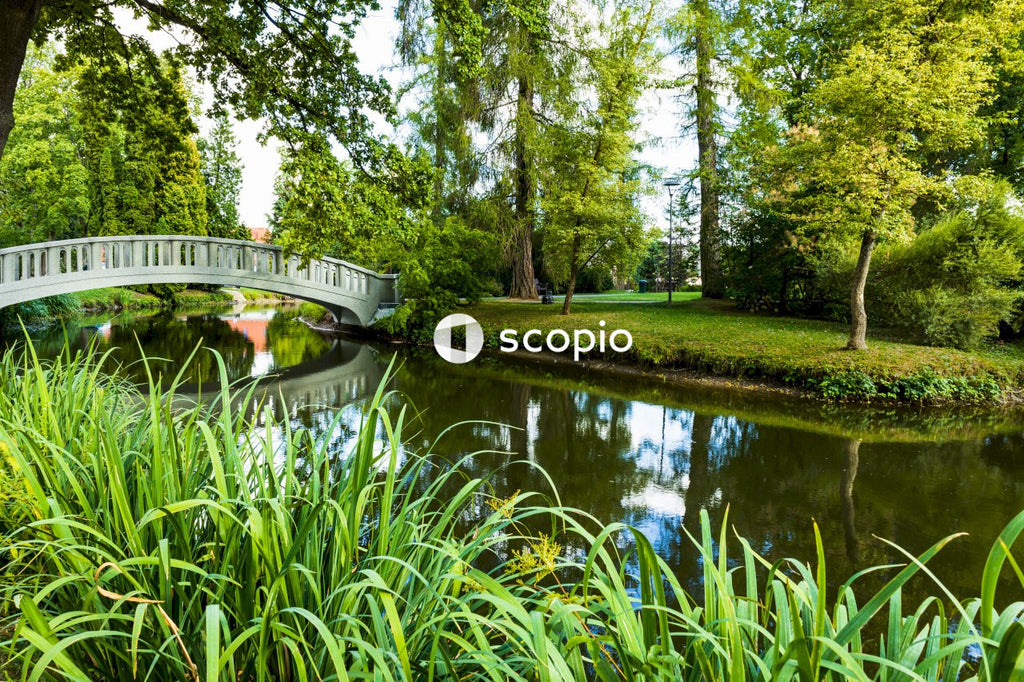 Green grass near river