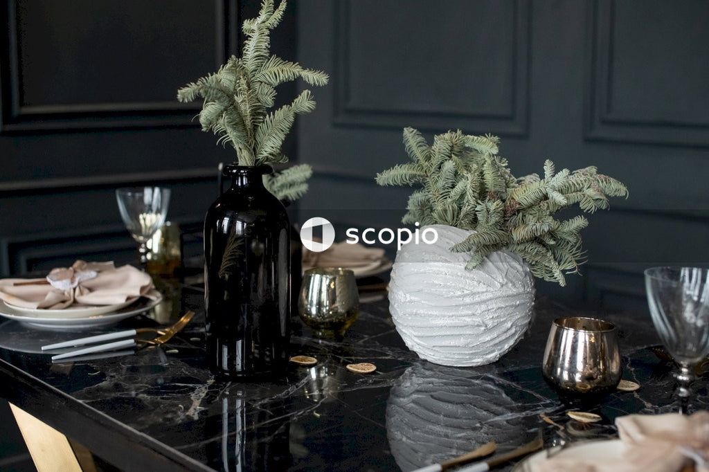 Green pine tree on black table