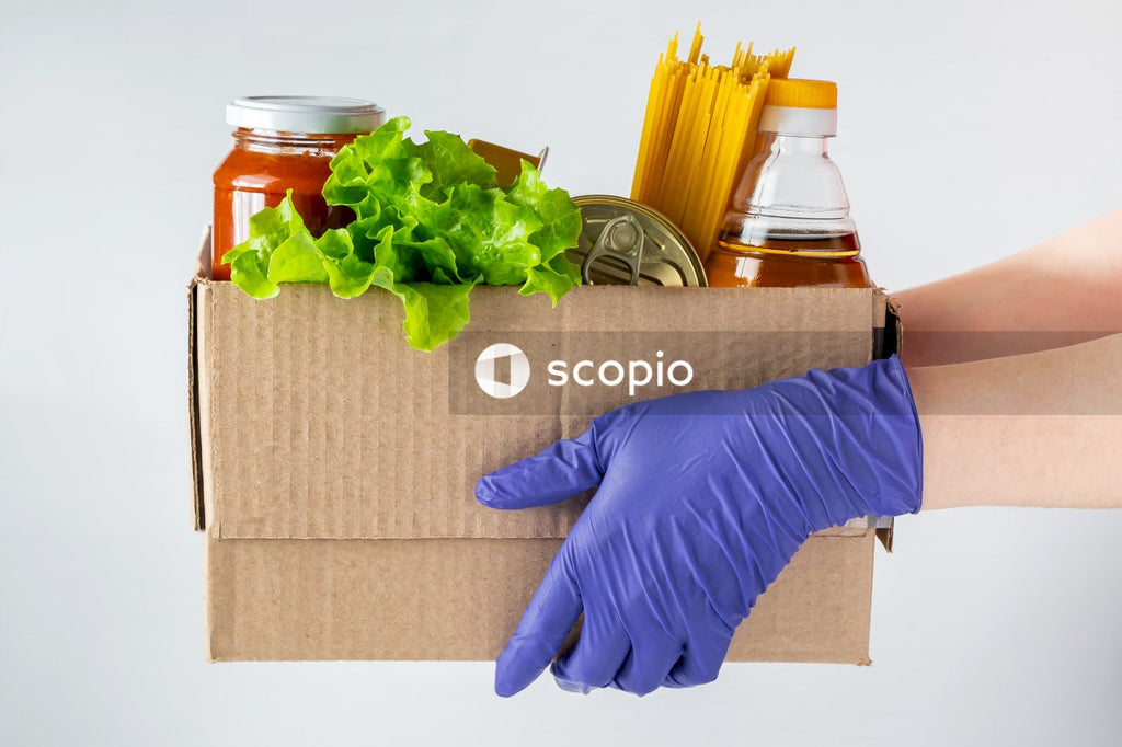 Green plant in brown cardboard box