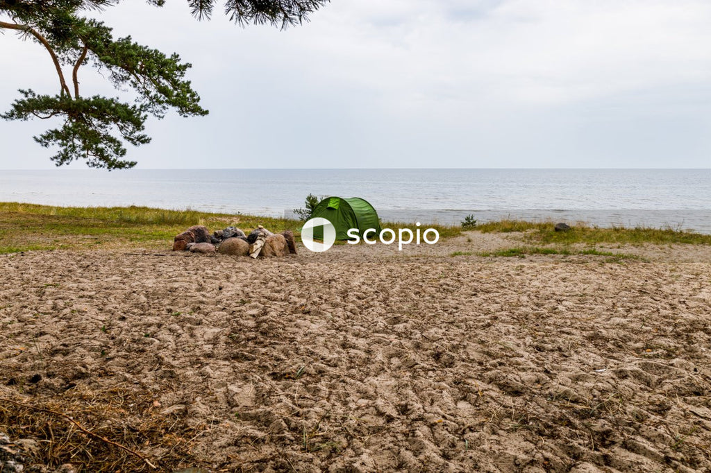 Green tent on brown sand near body of water