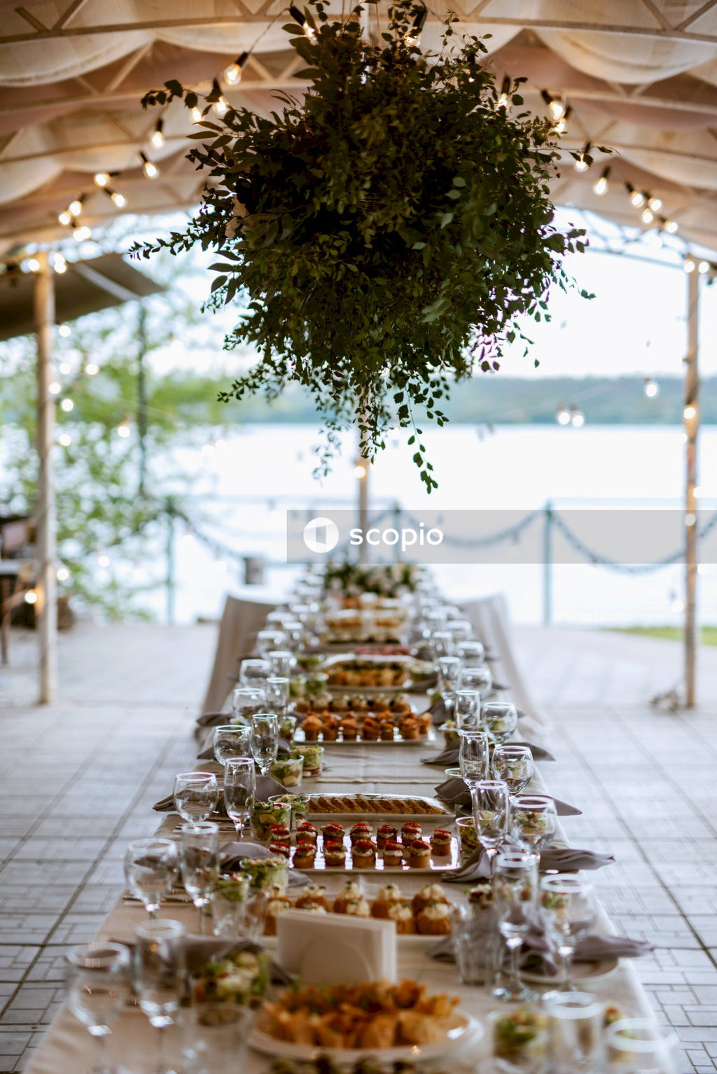 Green tree near brown wooden chairs