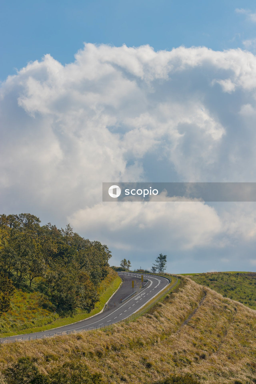 Green trees and gray asphalt road under white clouds and blue sky