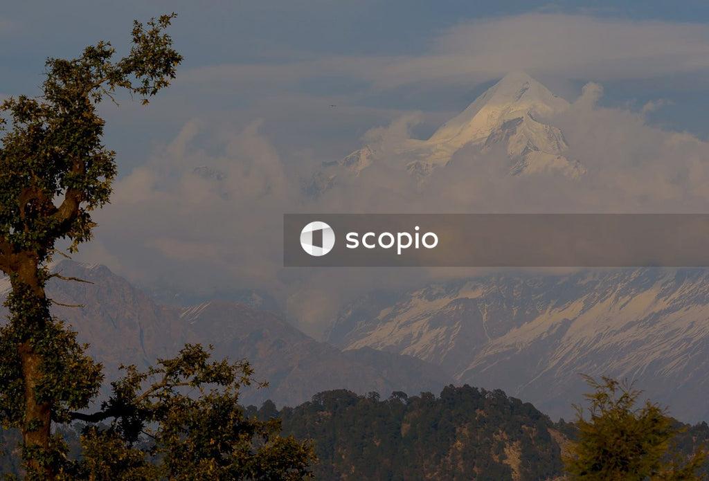 Green trees and mountains