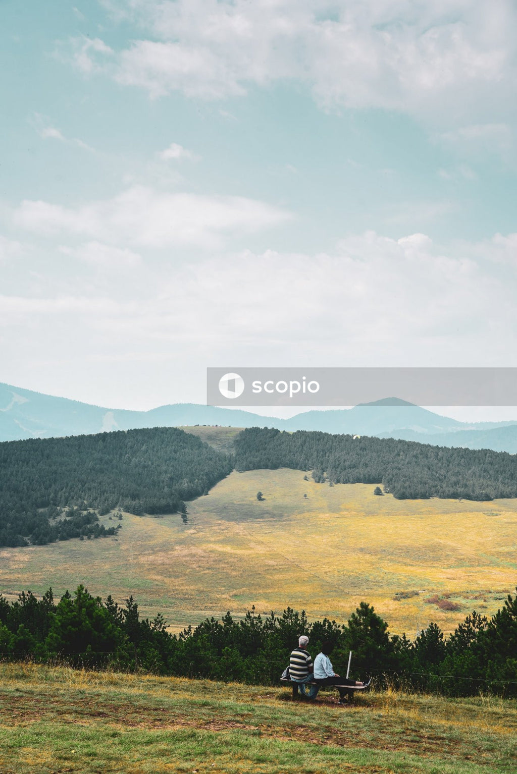Green trees and mountains under white clouds and blue sky