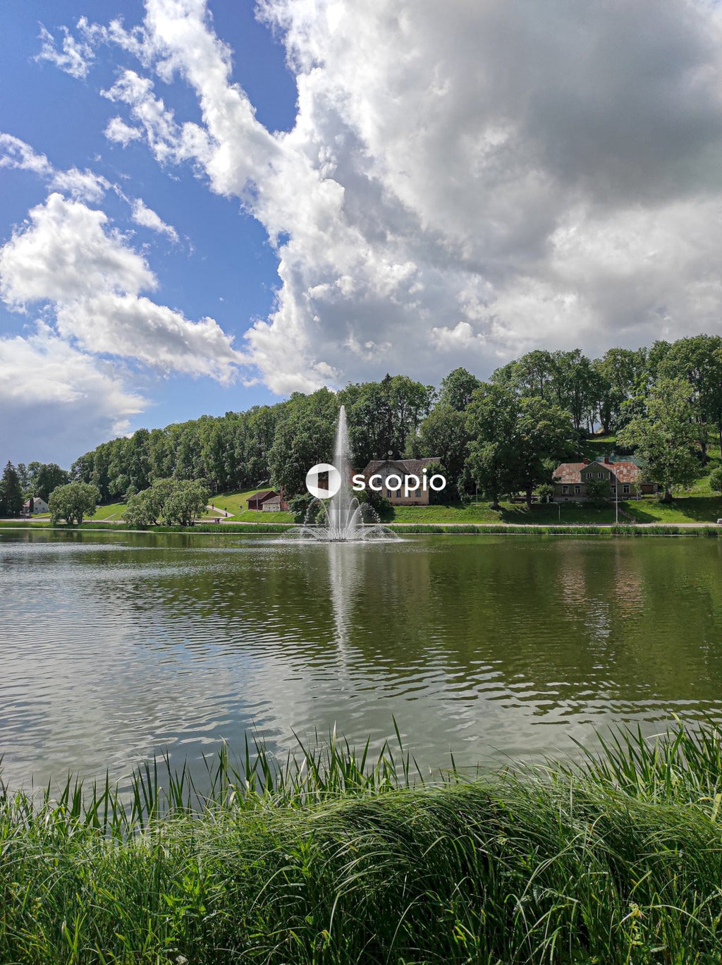 Green trees beside body of water under white clouds and blue sky