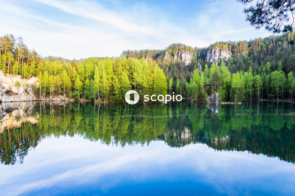 Green trees beside lake under blue sky