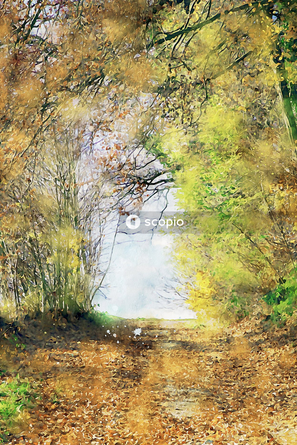Green trees beside river