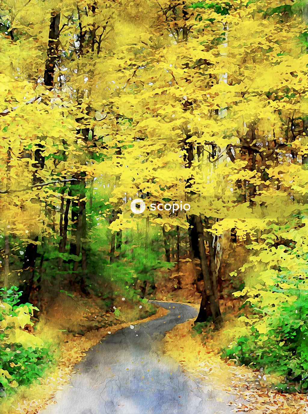 Green trees beside road