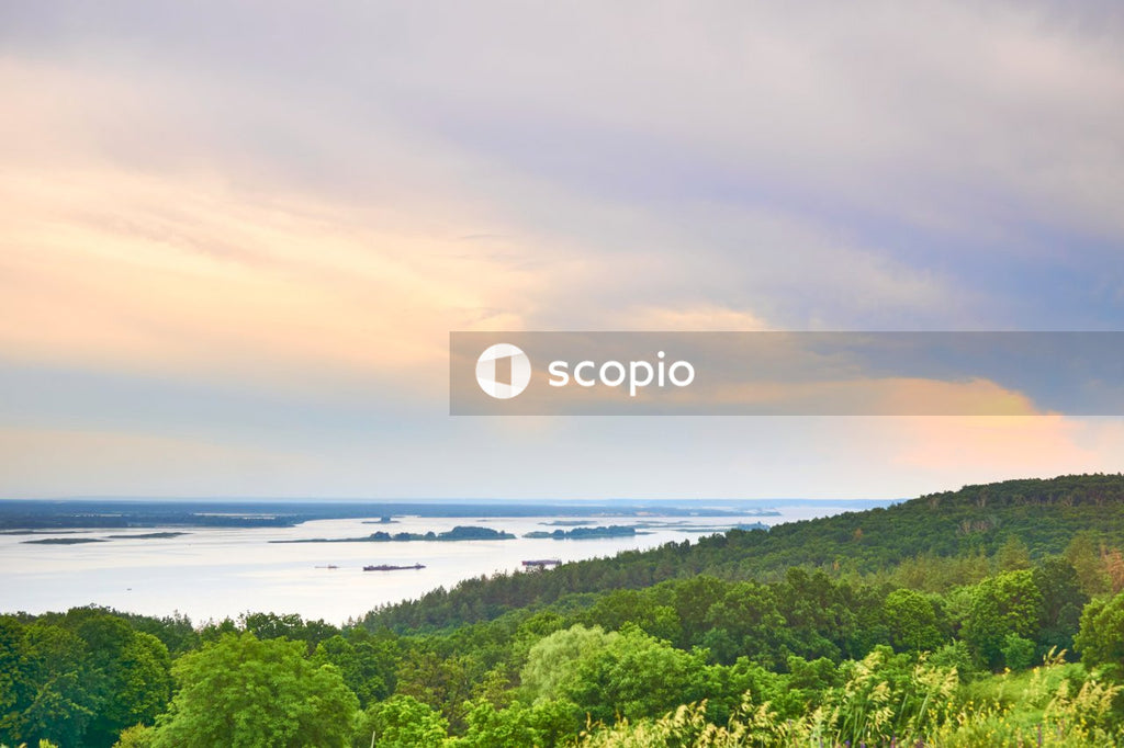 Green trees near body of water under cloudy sky