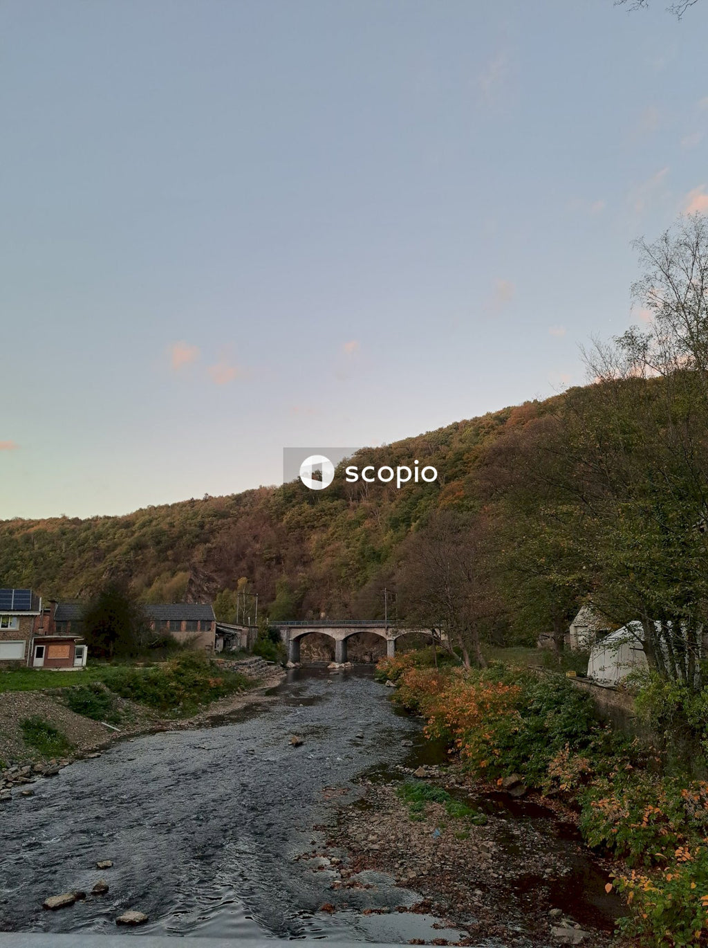 Green trees on hill under blue sky