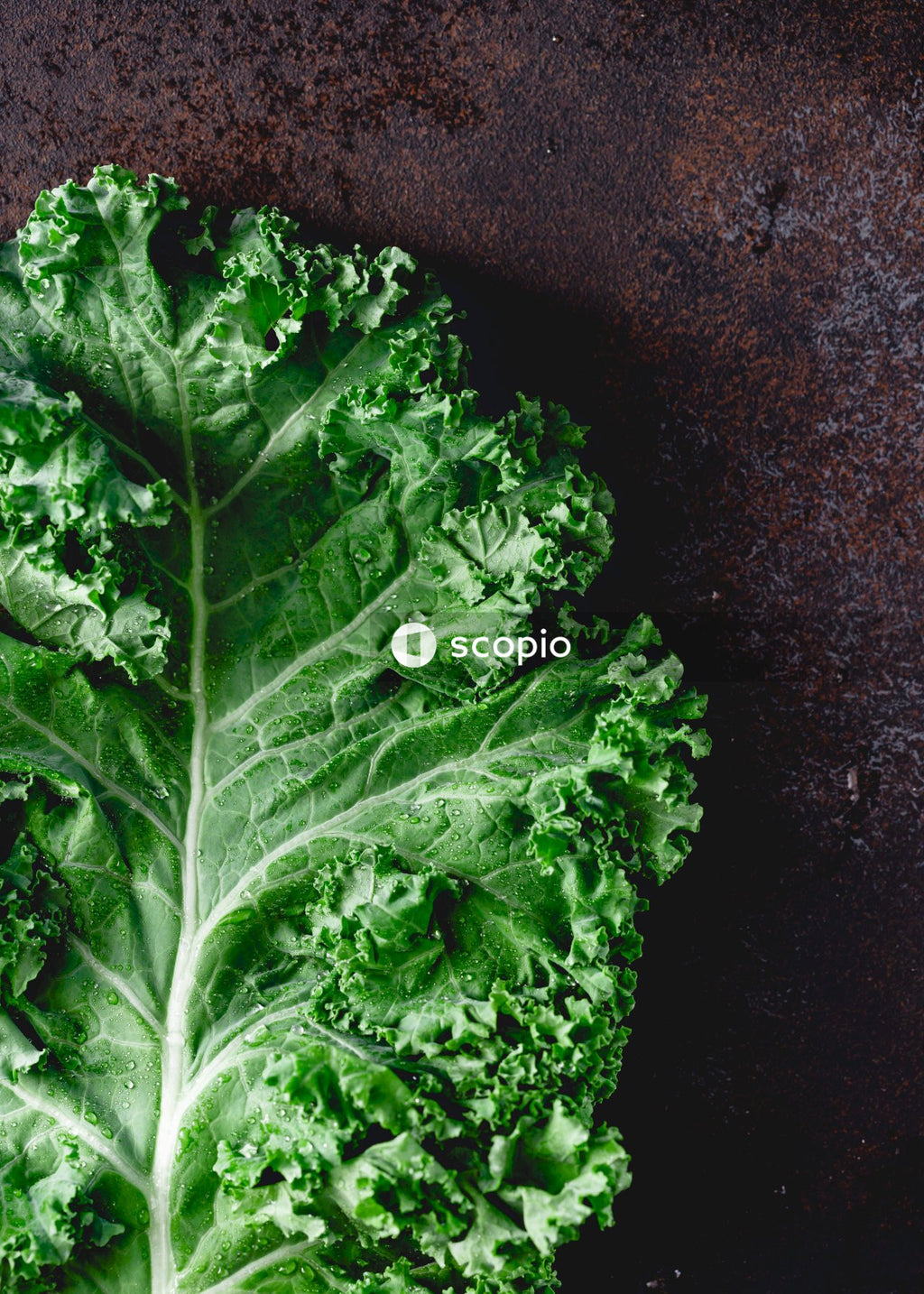 Green vegetable on brown textile