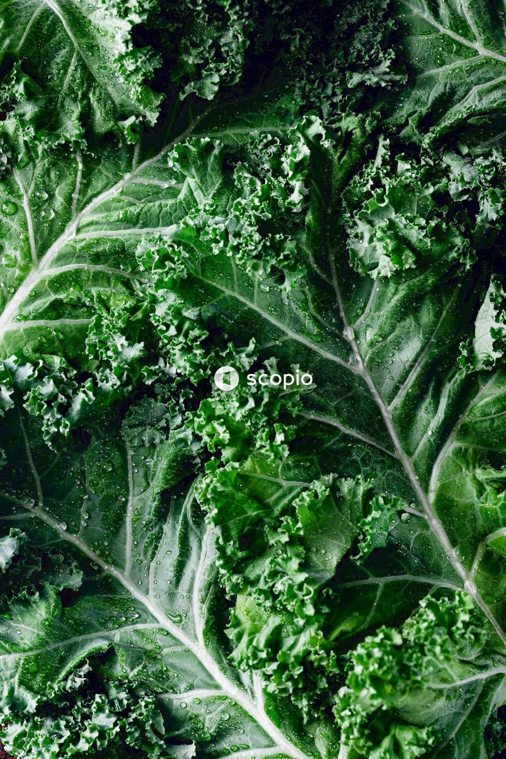 Green vegetable on brown wooden table