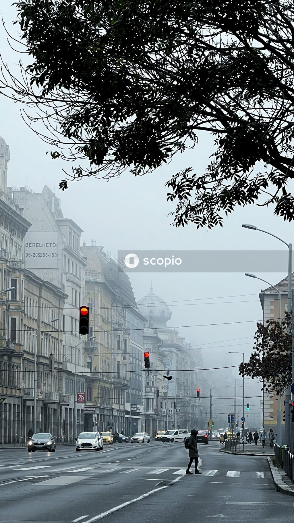 Hazy morning in Budapest