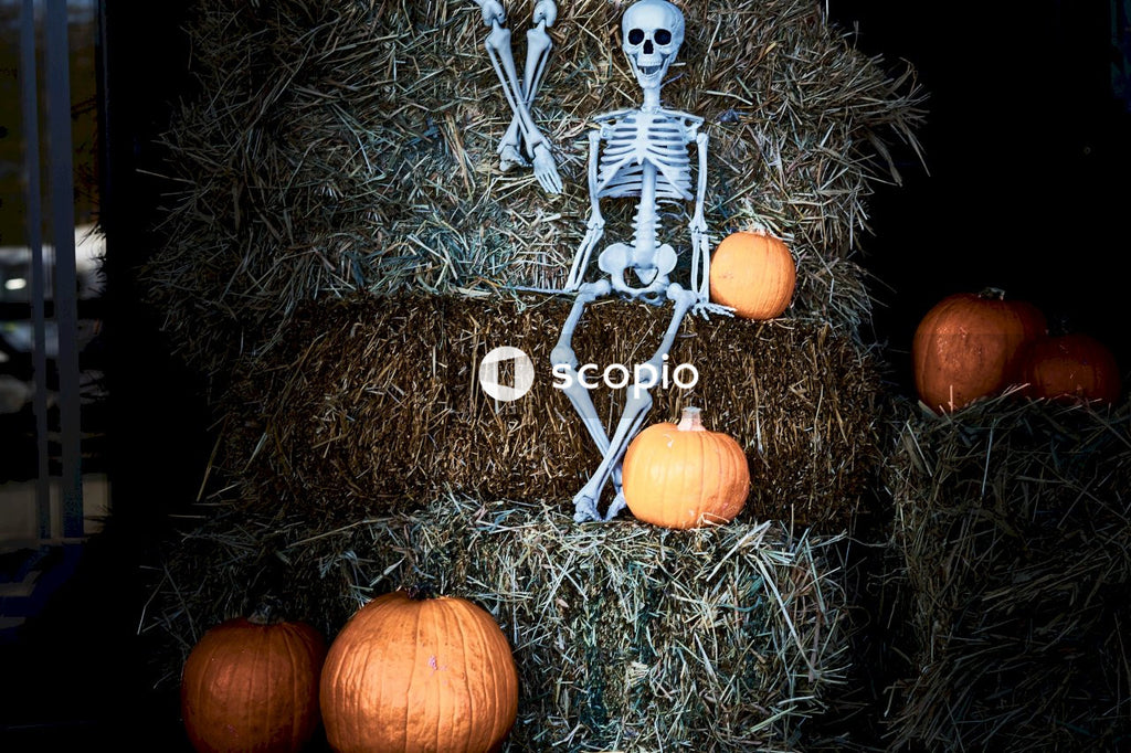 Jack o lantern on brown hay