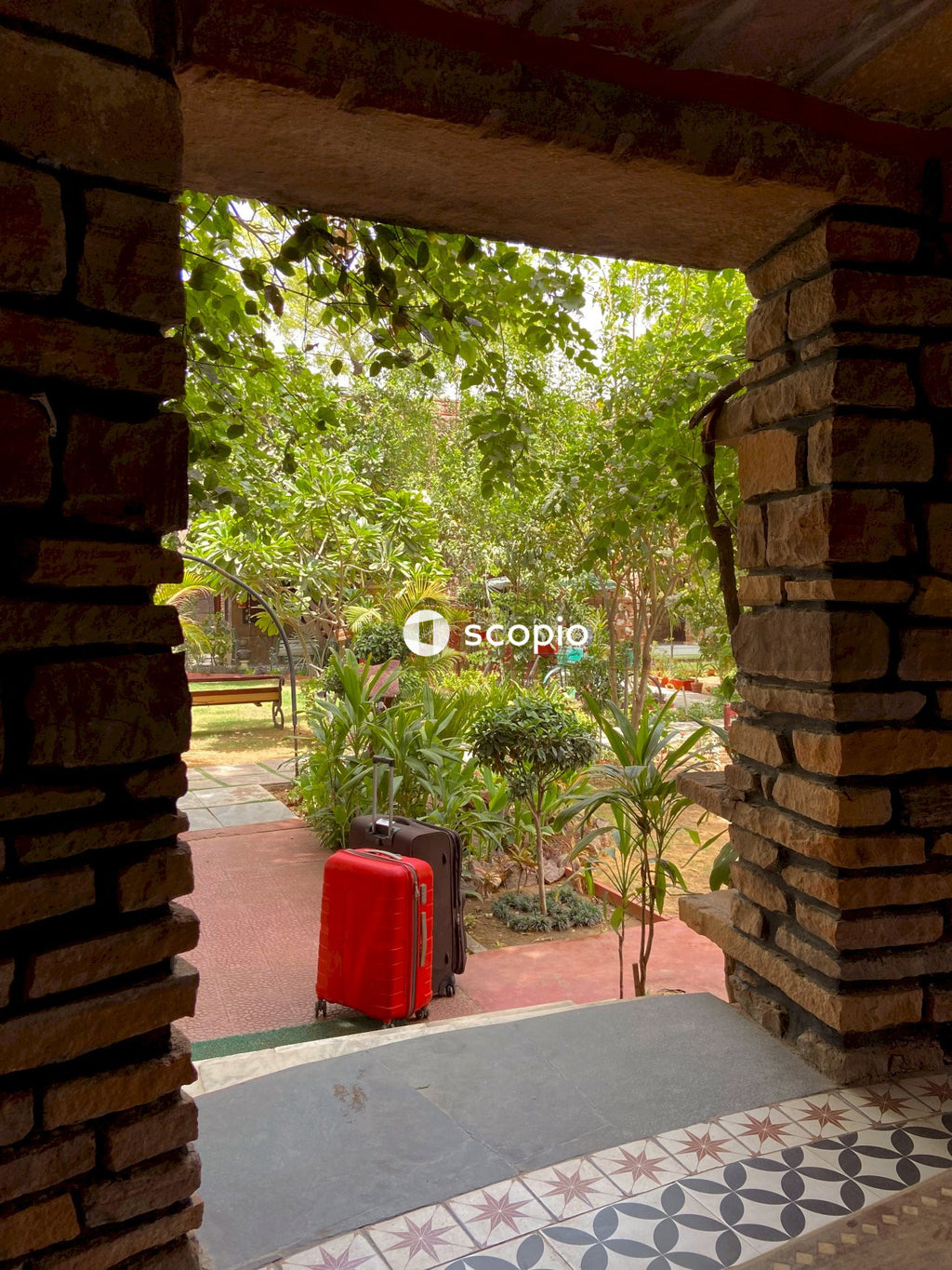 Jodhpur travel stories