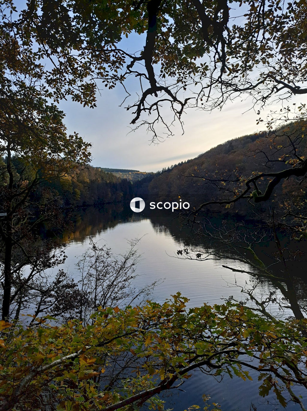 Lake surrounded by trees under cloudy sky