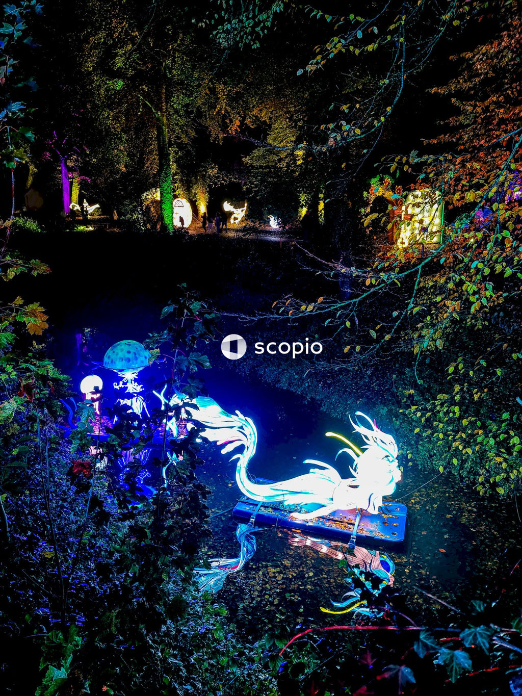 Light Dragon Décor on water