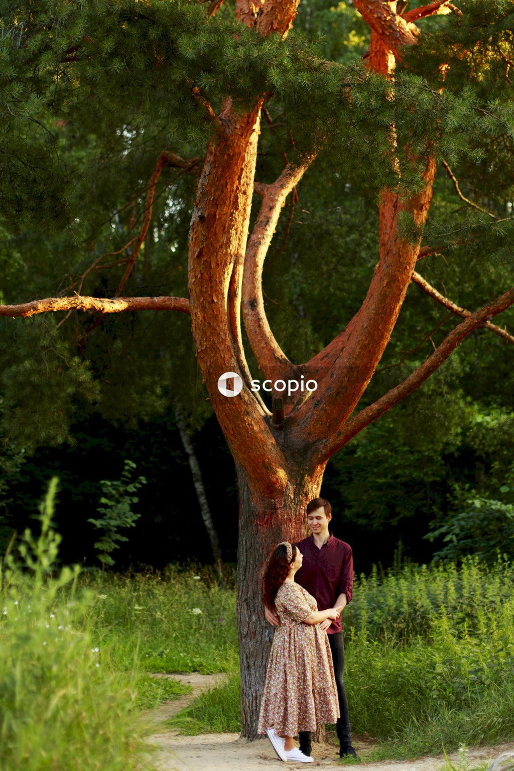 Man and woman kissing under brown tree