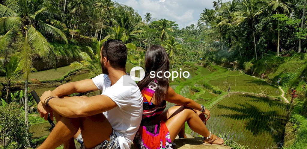 Man ad woman sitting against each other near looking at palm trees