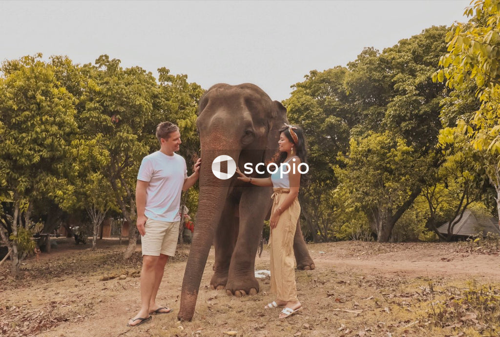 Man and woman standing beside elephant