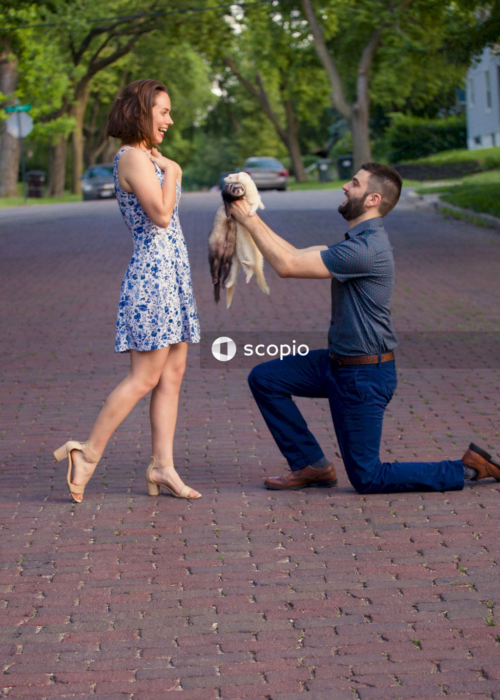 Man giving ferrets as a gift to a woman