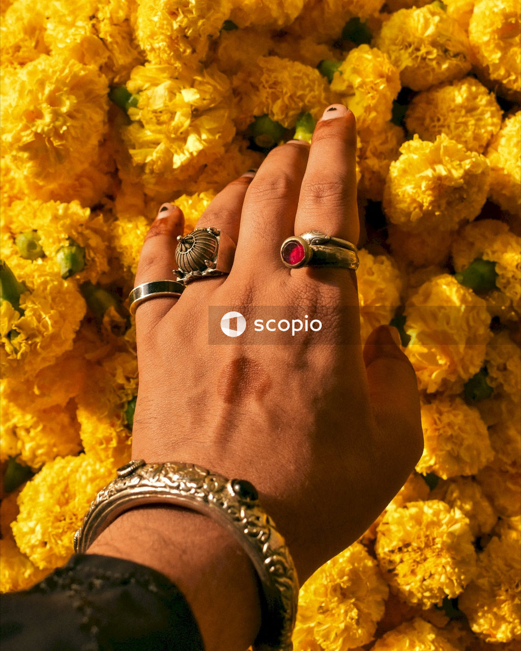 Marigolds for Diwali