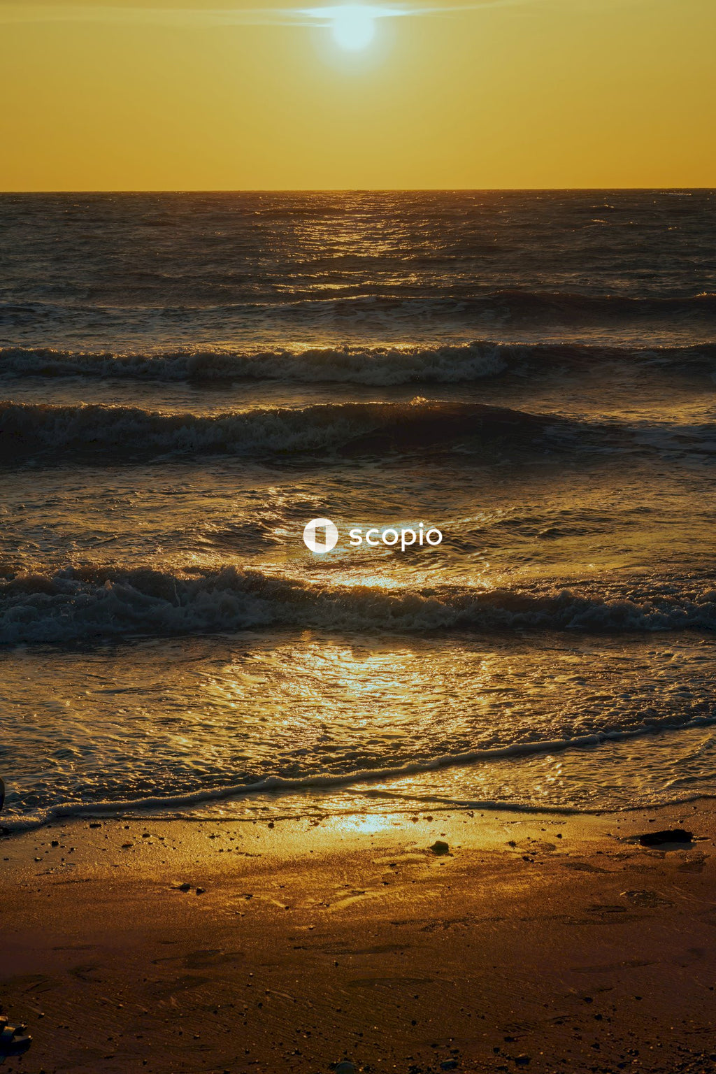 Ocean waves crashing on shore