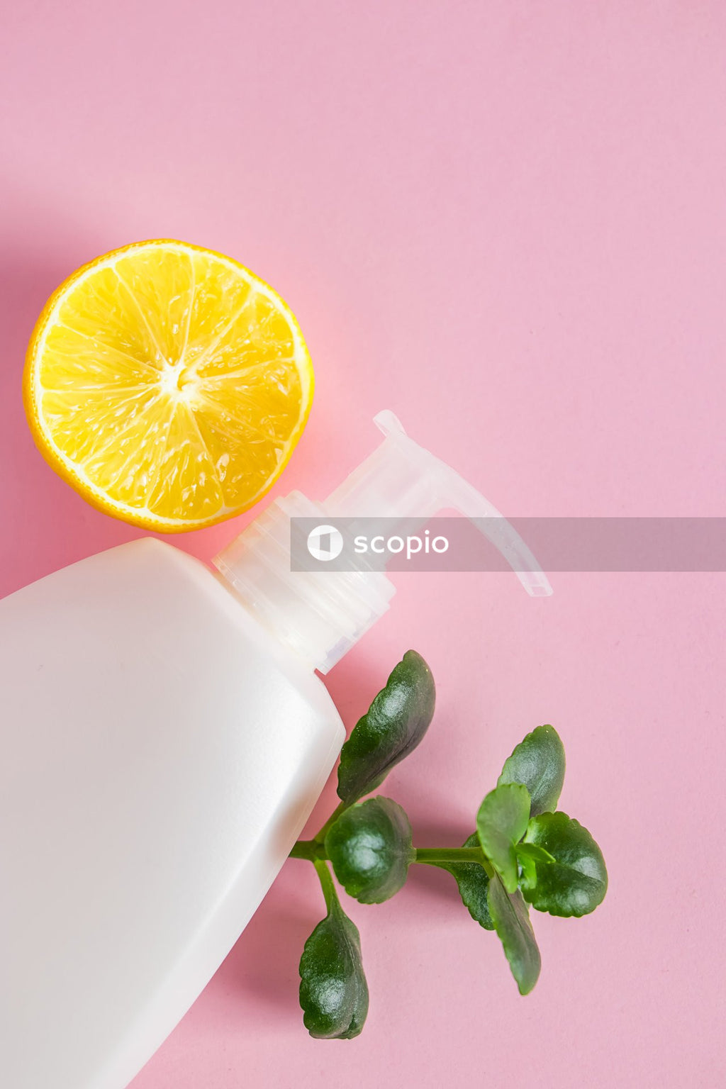Orange fruit on white ceramic plate