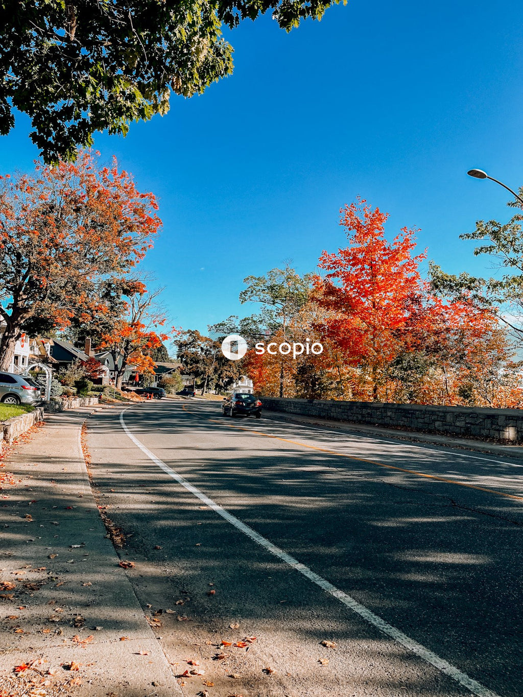 People riding motorcycle on road