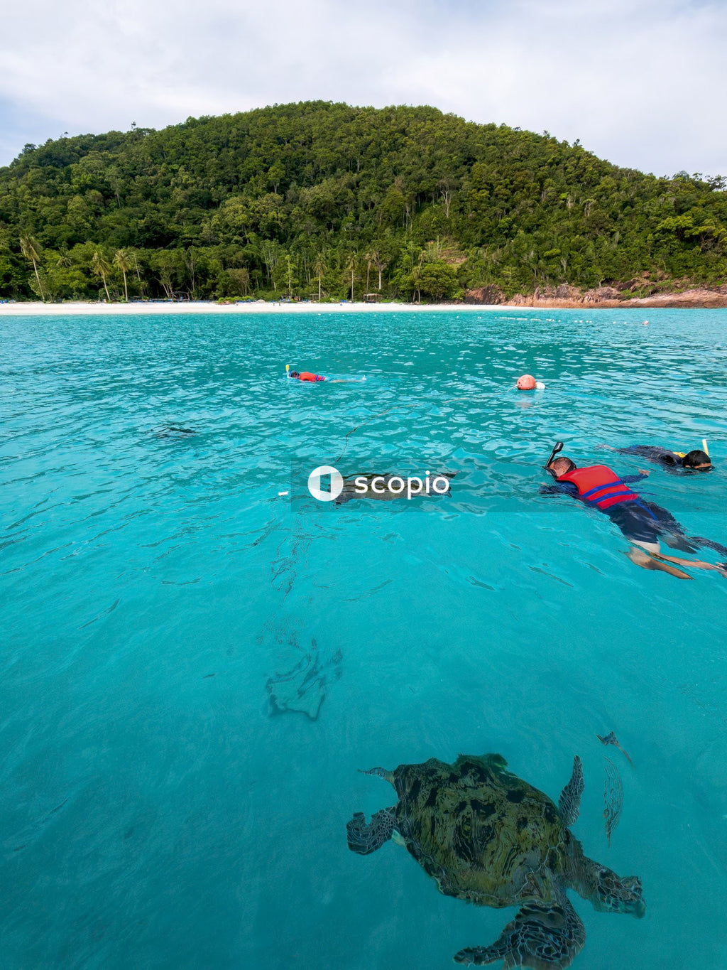 People swimming in the sea