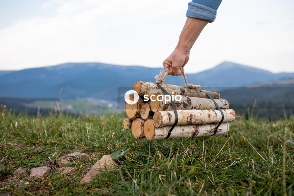 Person holding brown wooden log