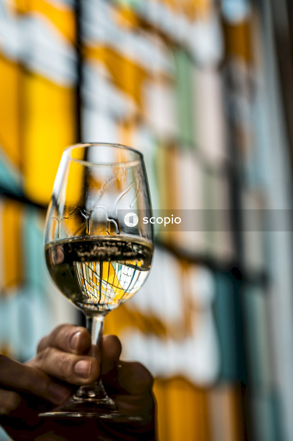Person holding clear wine glass