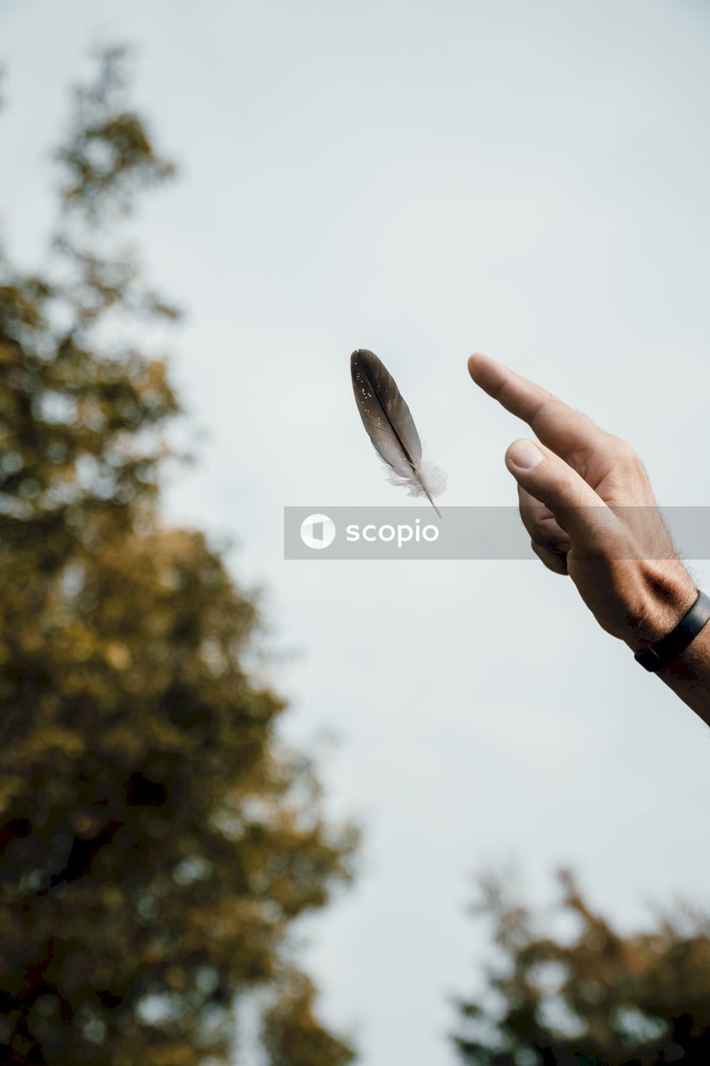 Person holding gray leaf