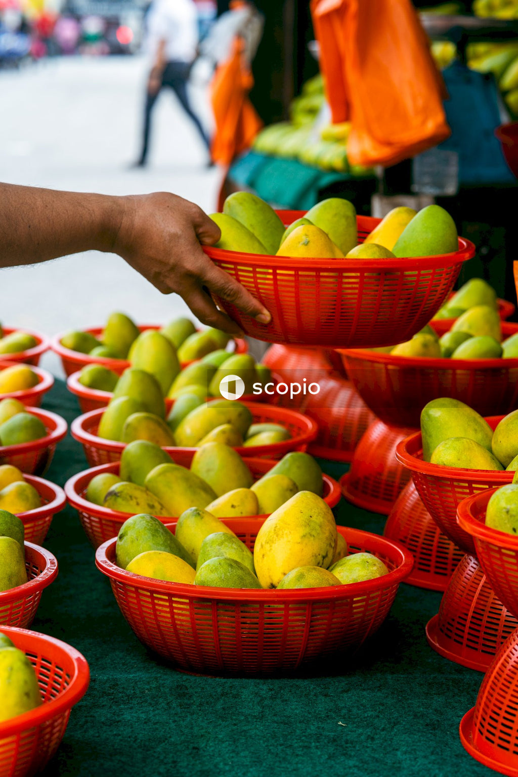 Person holding orange fruit on brown plastic basket