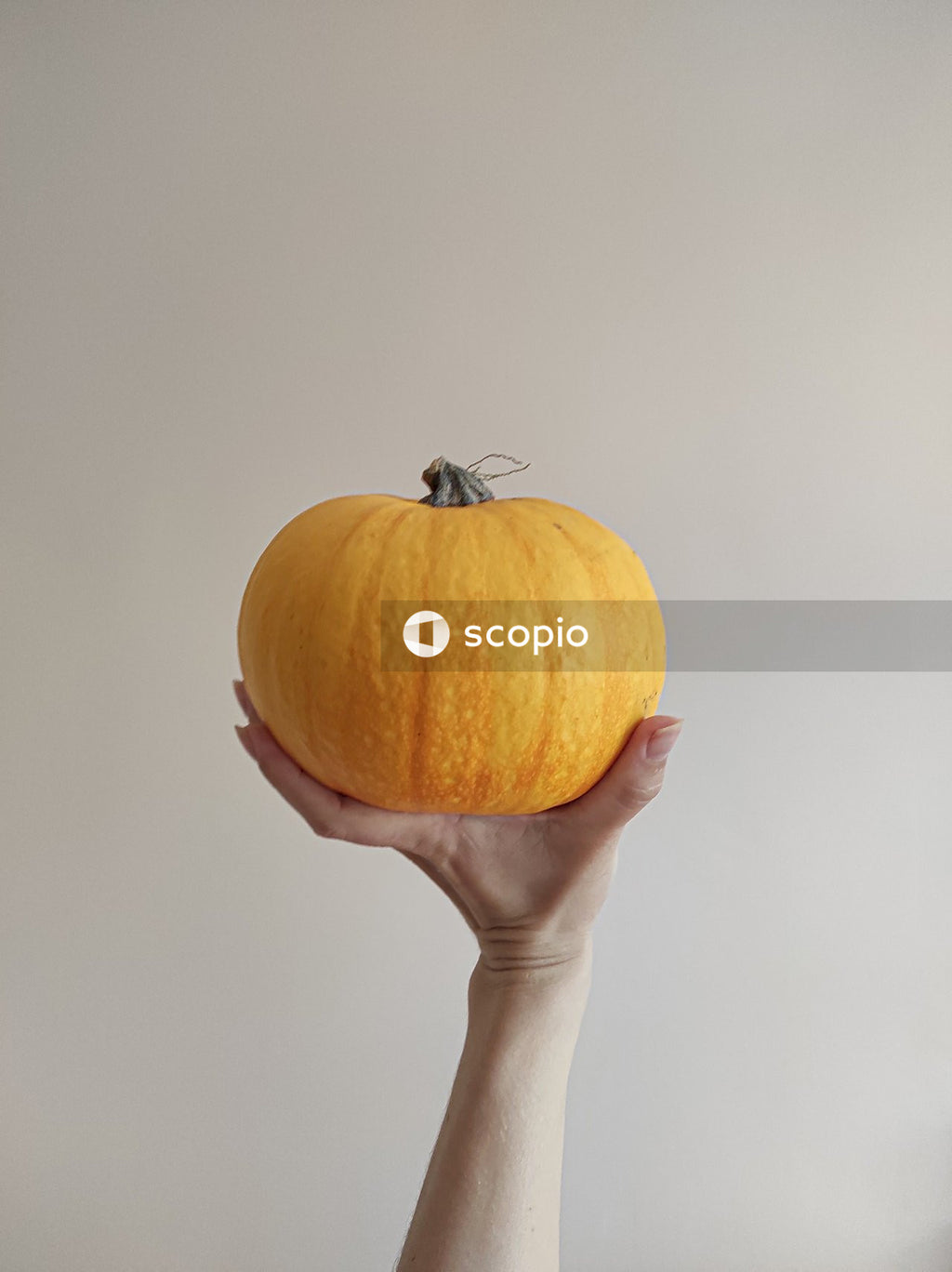 Person holding yellow round fruit