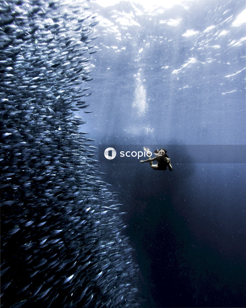 Person in black and white shirt swimming in the sea