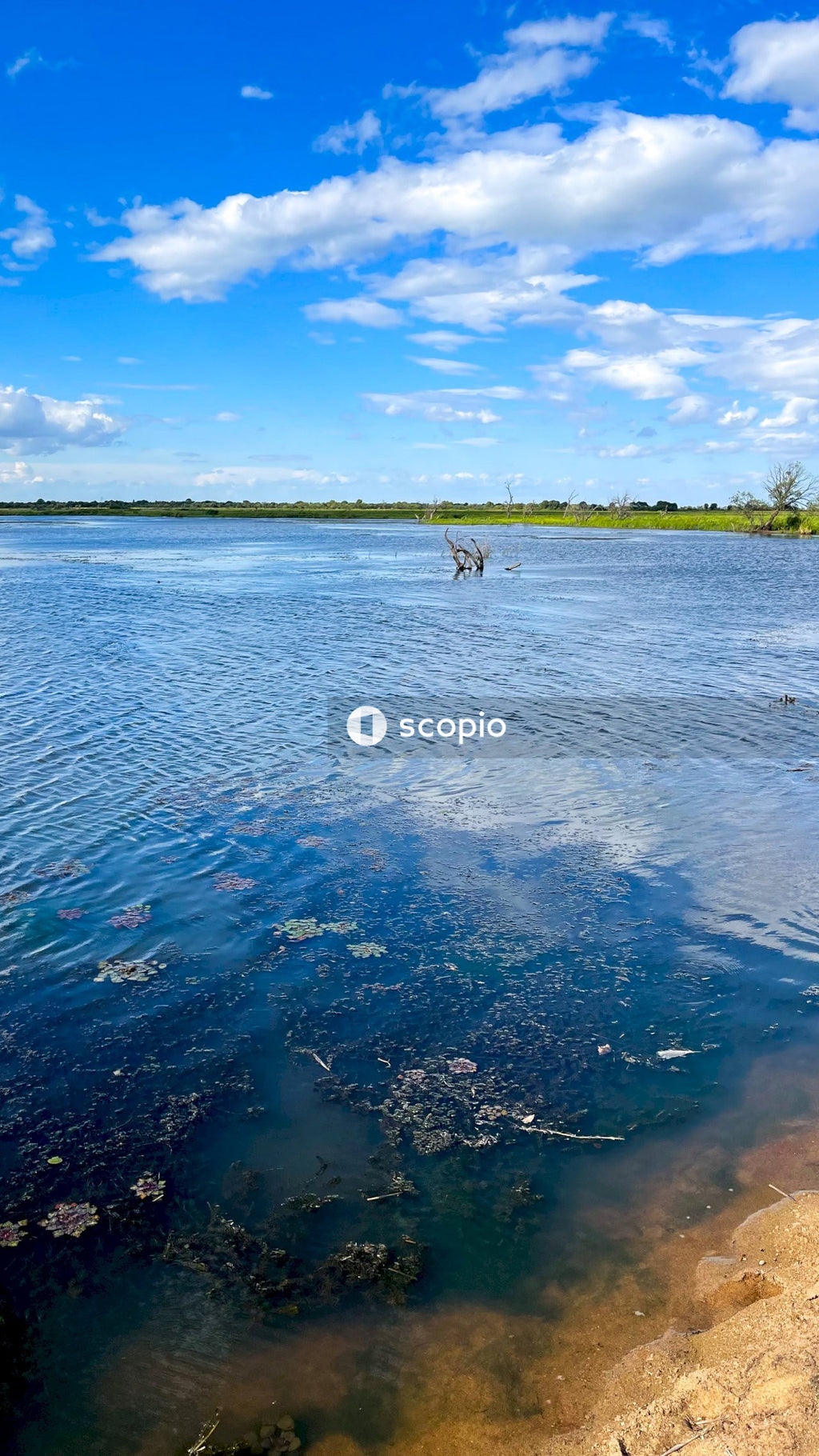 Person in water under blue sky